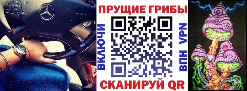 Галлюциногенные грибы Magic Shrooms  Купить где  Игра 